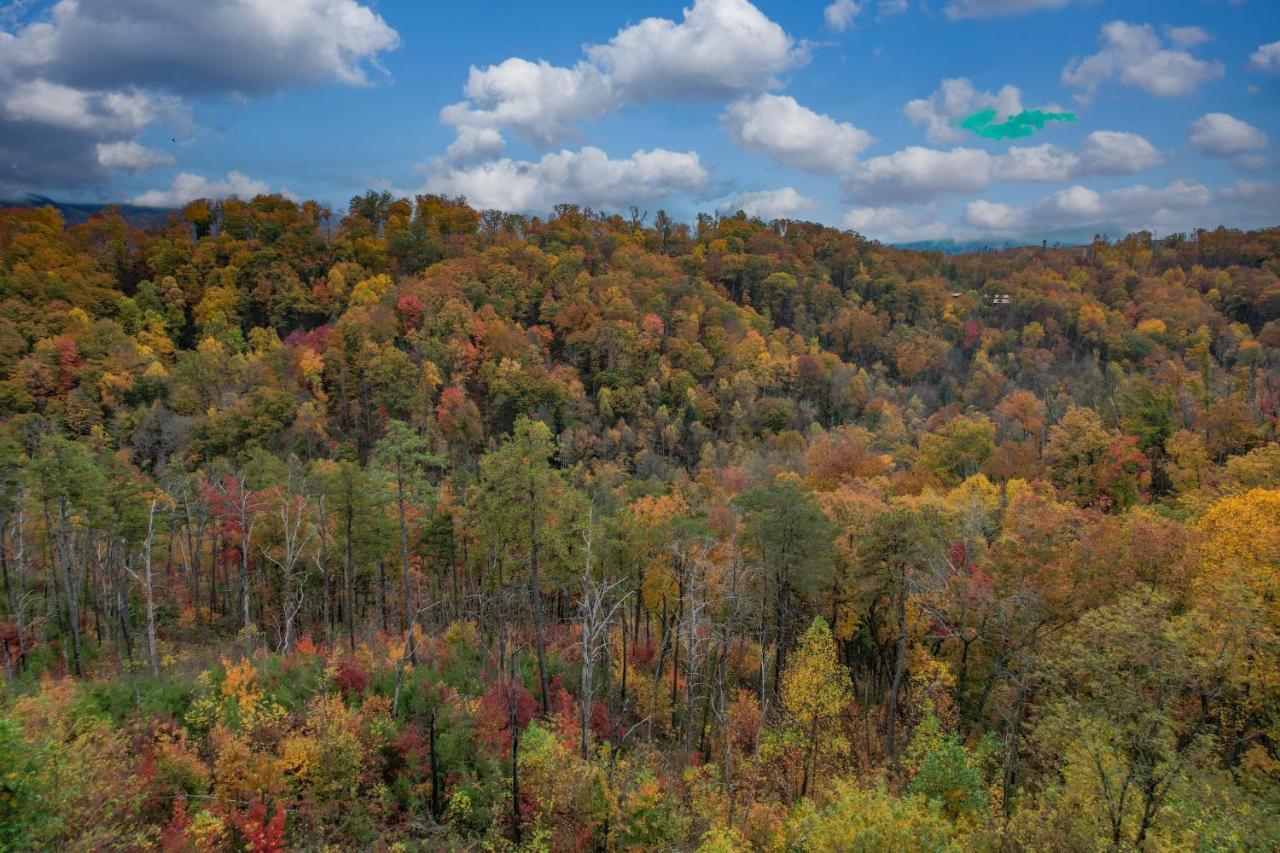 The Overlook - '21 Cabin - Gorgeous Unobstructed Views - Fire Pit Table - Gamerm - Hottub - Xbox - Lots Of Bears Gatlinburg Buitenkant foto